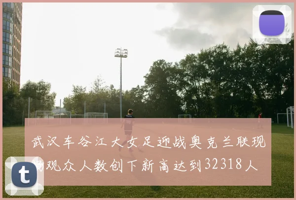 武汉车谷江大女足迎战奥克兰联现场观众人数创下新高达到32318人