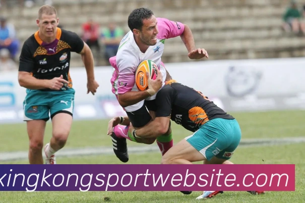 星空体育平台生态图