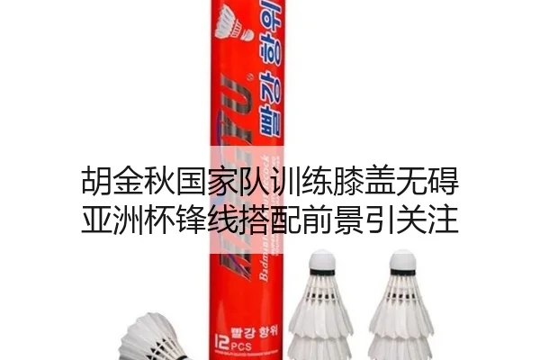胡金秋国家队训练膝盖无碍 亚洲杯锋线搭配前景引关注（xingkong）